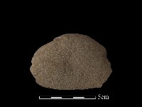 藏品(石片器)的圖片