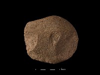 藏品(石核)的圖片