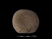 藏品(石鎚)的圖片