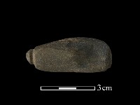 藏品(網墜)的圖片