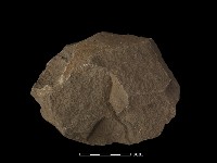 藏品(石核)的圖片