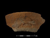 藏品(陶罐)的圖片