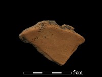 藏品(陶罐)的圖片