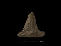 藏品(陶蓋鈕)的圖片