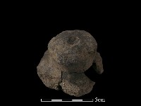 藏品(陶蓋鈕)的圖片