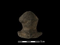 藏品(陶蓋鈕)的圖片