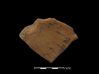 藏品(陶片)的圖片