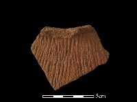 藏品(陶罐)的圖片