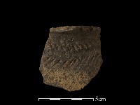 藏品(陶罐)的圖片