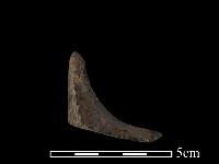 藏品(陶罐)的圖片