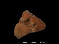 藏品(陶罐)的圖片