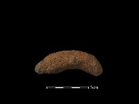 藏品(陶把)的圖片