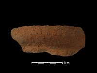 藏品(陶罐)的圖片