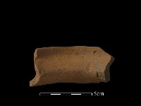 藏品(陶罐)的圖片