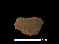 藏品(陶罐)的圖片