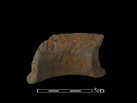 藏品(陶罐)的圖片