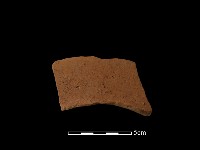 藏品(連杯形器)的圖片