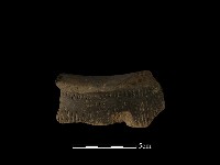 藏品(陶罐)的圖片