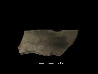 藏品(陶罐)的圖片