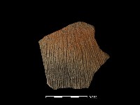 藏品(陶罐)的圖片