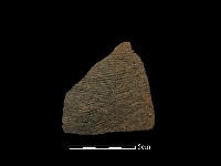 藏品(陶罐)的圖片