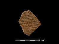 藏品(陶罐)的圖片