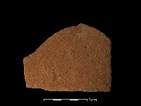 藏品(陶片)的圖片