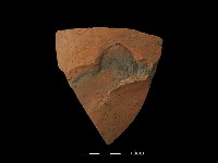 藏品(陶片)的圖片