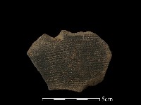 藏品(陶片)的圖片