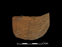 藏品(陶片)的圖片