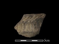 藏品(陶片)的圖片