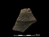 藏品(陶片)的圖片