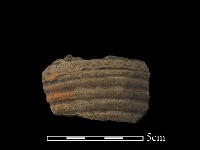 藏品(陶片)的圖片