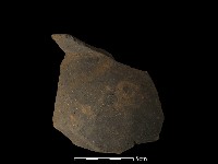 藏品(陶片)的圖片