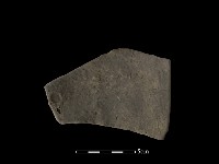 藏品(陶片)的圖片