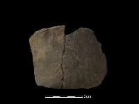 藏品(陶片)的圖片