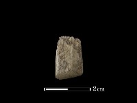 藏品(錛鑿形器)的圖片