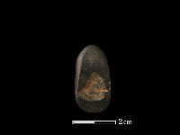 藏品(錛鑿形器)的圖片