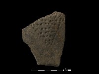 藏品(陶片)的圖片