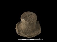 藏品(陶蓋鈕)的圖片