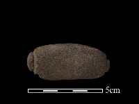 藏品(網墜)的圖片