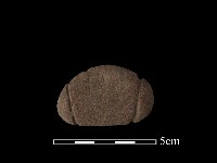 藏品(網墜)的圖片