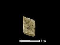 藏品(錛鑿形器)的圖片