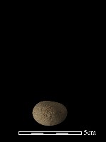 藏品(石鎚)的圖片