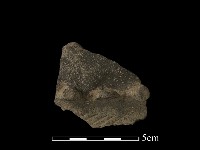 藏品(陶罐)的圖片