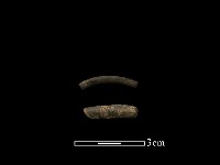 藏品(陶環)的圖片