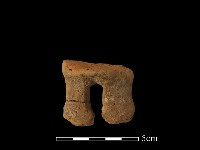 藏品(陶片)的圖片