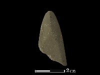 藏品(矛鏃形器)的圖片