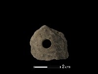 藏品(紡輪)的圖片