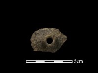 藏品(紡輪)的圖片